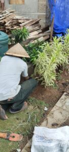 jasa renovasi rumah cikini 3 taman