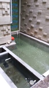 jasa renovasi rumah cluster Ruby perbaikan kolam