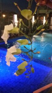jasa renovasi rumah cluster greenwich kolam renang