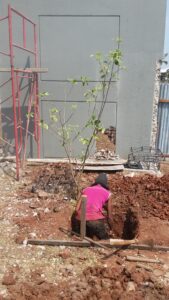 jasa renovasi rumah cluster greenwich tukang gali pondasi